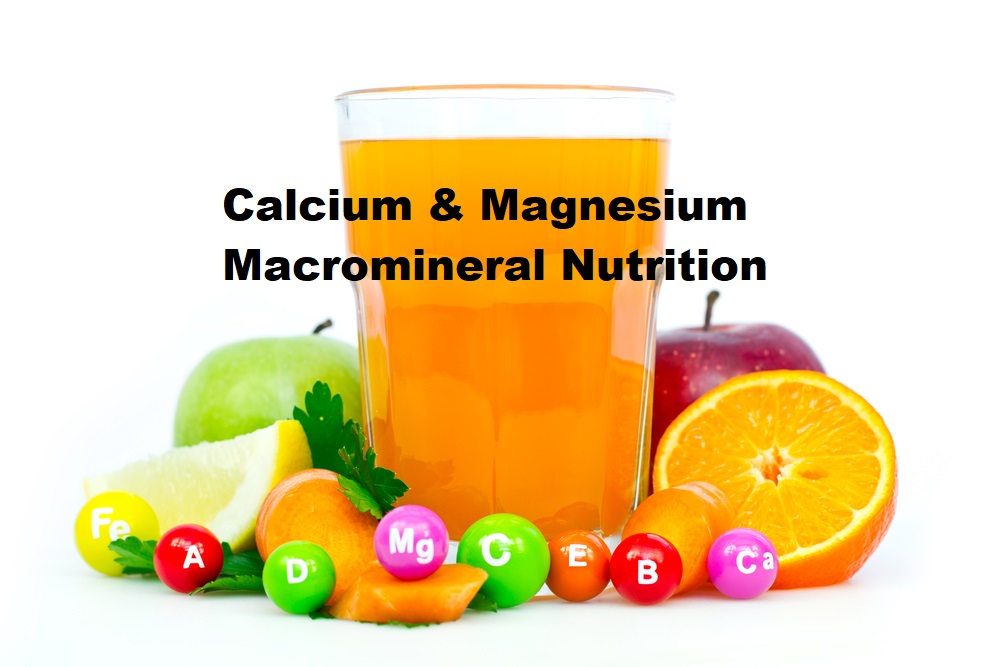 glass of juice with calcium and magnesium
