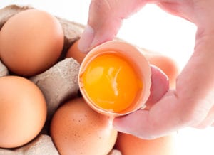 Protein - eggs