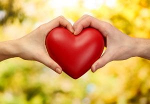 cardiovascular - heart health