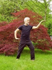 fitness and exercise - tai chi